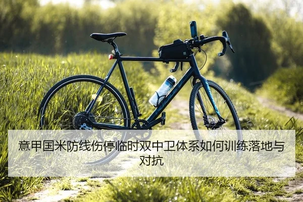 意甲国米防线伤停临时双中卫体系如何训练落地与对抗