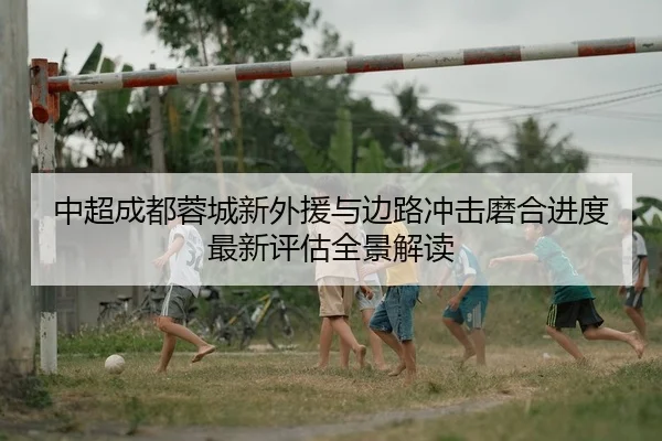中超成都蓉城新外援与边路冲击磨合进度最新评估全景解读